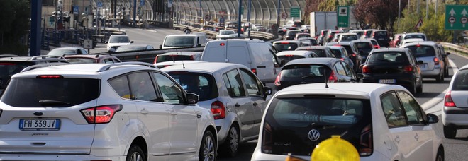 4858081_1642_105911541